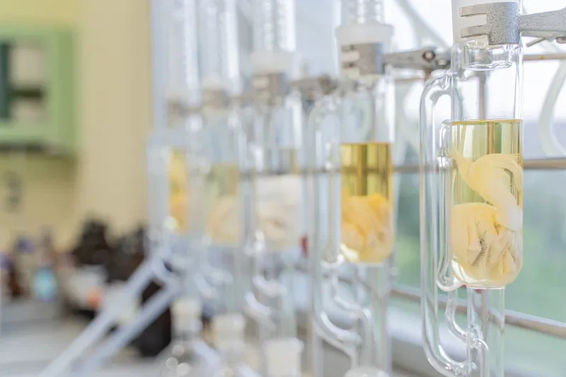 VCG41N1316978249 VCG41N1316978249